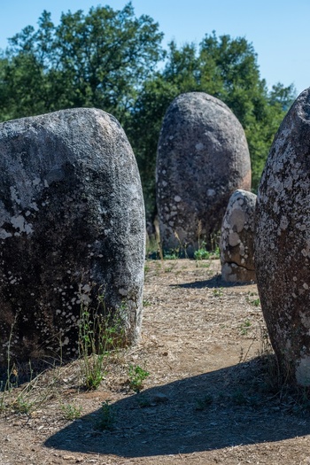 View of the ancient megalithic stones of Almendres Cromlech with lichen covered granite surfaces on dry ground in Nossa Senhora de Guadalupe Distrito de Evora Portugal. View of the ancient megalithic stones of Almendres Cromlech with lichen covered granite surfaces on dry ground in Nossa Senhora de Guadalupe Distrito de Evora Portugal.