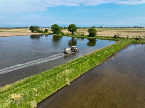 Aerial view of a tractor spraying a flooded agricultural field surrounded by green trees and rural landscape under a blue sky in Trino Piedmont Italy.