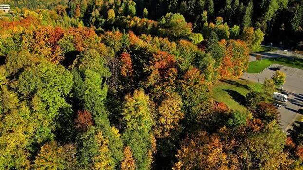 Aerial view of autumn forest near Berchtesgaden Germany.