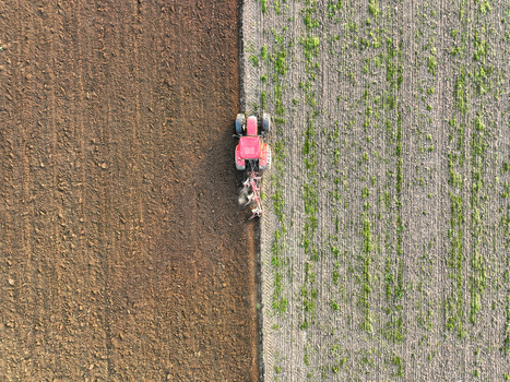 Aerial view of a red tractor plowing an agricultural field with dark brown soil and green sprouts under soft daylight Borgo d Ale Piedmont Italy.