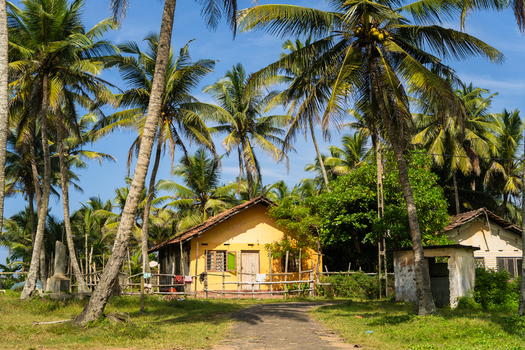 View of a traditional yellow house nestled among tall palm trees under a clear blue sky in Galle Southern Province Sri Lanka.