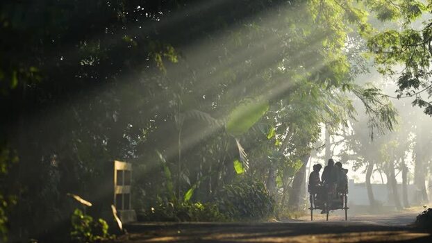 View of a rickshaw on a misty road with sunbeams Bangladesh. View of a rickshaw on a misty road with sunbeams Bangladesh.