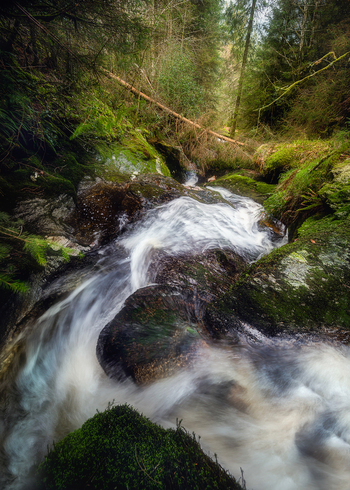 View of a small waterfall flowing over mossy rocks surrounded by dense forest and lush greenery along the Wicklow Way County Wicklow Ireland. View of a small waterfall flowing over mossy rocks surrounded by dense forest and lush greenery along the Wicklow Way County Wicklow Ireland.