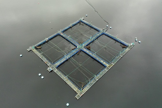 Aerial view of a fish farm with square pens floating on the calm water surface in Glencoe Scotland United Kingdom.