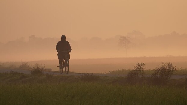 View of a cyclist riding through the morning mist in Bangladesh. View of a cyclist riding through the morning mist in Bangladesh.