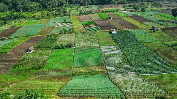 Aerial view of vibrant agricultural patchwork fields with diverse crops and small wooden huts Sukabumi West Java Indonesia. Aerial view of vibrant agricultural patchwork fields with diverse crops and small wooden huts Sukabumi West Java Indonesia.