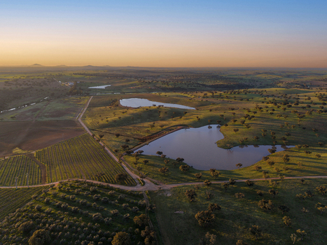 Albernoa Portugal 17 March 2026 Aerial view of rolling green hills vineyards and small lakes under a golden sunset sky. Albernoa Portugal 17 March 2026 Aerial view of rolling green hills vineyards and small lakes under a golden sunset sky.