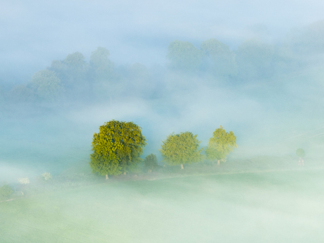 Aerial view of green trees and rolling hills shrouded in thick morning mist and ethereal fog Nuffield Oxfordshire United Kingdom. Aerial view of green trees and rolling hills shrouded in thick morning mist and ethereal fog Nuffield Oxfordshire United Kingdom.