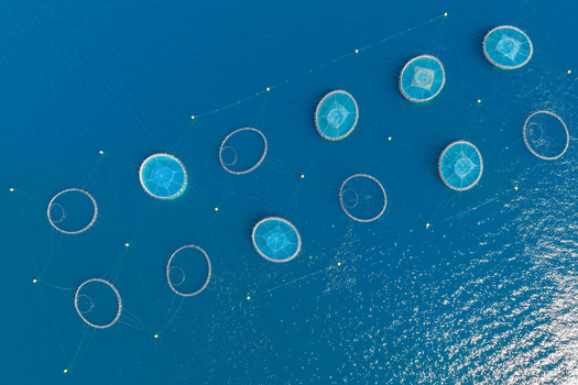 Aerial view of circular fish farm cages floating in the deep blue sea off the coast of Antibes Provence Alpes Cote d Azur France. Aerial view of circular fish farm cages floating in the deep blue sea off the coast of Antibes Provence Alpes Cote d Azur France.