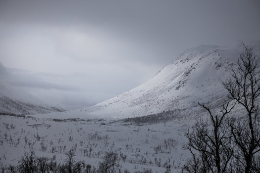 View of snow covered mountain slopes and a valley with sparse winter vegetation under a moody overcast sky in Ersfjord Troms Norway. View of snow covered mountain slopes and a valley with sparse winter vegetation under a moody overcast sky in Ersfjord Troms Norway.