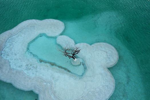 Aerial view of a lone tree standing defiant amidst the turquoise waters and stark white salt formations a testament to resilience Ein Bokek South District Israel. Aerial view of a lone tree standing defiant amidst the turquoise waters and stark white salt formations a testament to resilience Ein Bokek South District Israel.