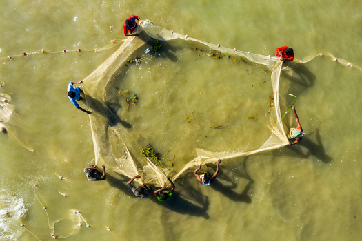 Aerial view of fishermen working together to pull a large fishing net in the shallow waters of Kuakata Barisal Division Bangladesh. Aerial view of fishermen working together to pull a large fishing net in the shallow waters of Kuakata Barisal Division Bangladesh.