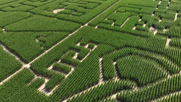 Aerial view of Labyrinthe de mais in Soultz Haut Rhin France.