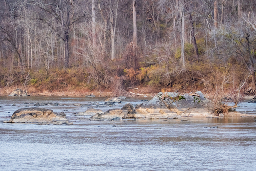 View of a wide river flowing around large rocks framed by bare trees and shrubs on the distant bank Scott s Run Nature Preserve Scott s Run Virginia United States. View of a wide river flowing around large rocks framed by bare trees and shrubs on the distant bank Scott s Run Nature Preserve Scott s Run Virginia United States.