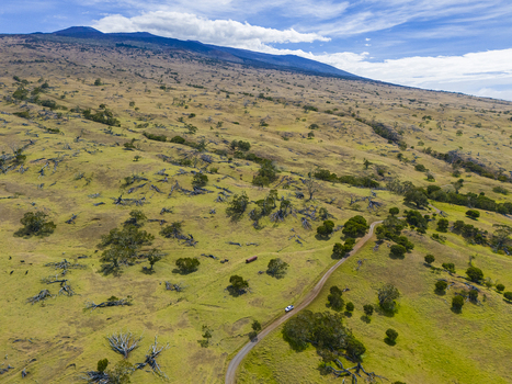 Aerial view of Mauna Kea showing the grassy volcanic slopes with scattered trees a white vehicle on a winding dirt road under a blue sky in Hawaii County Hawaii United States. Aerial view of Mauna Kea showing the grassy volcanic slopes with scattered trees a white vehicle on a winding dirt road under a blue sky in Hawaii County Hawaii United States.