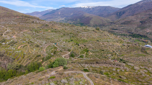 Aerial view of terraced hillsides and winding paths bathed in soft light with snow capped peaks in the distance Cabezuela del Valle Extremadura Spain.