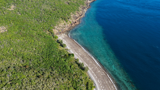 Aerial view of Haslewood Island featuring a pristine sandy beach bordered by lush green vegetation and clear turquoise waters in Whitsundays Queensland Australia. Aerial view of Haslewood Island featuring a pristine sandy beach bordered by lush green vegetation and clear turquoise waters in Whitsundays Queensland Australia.