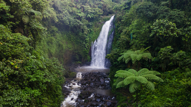 Aerial view of Gomblang Waterfall cascading into a rocky stream surrounded by dense tropical jungle and large ferns in Kecamatan Kedungbanteng Jawa Tengah Indonesia. Aerial view of Gomblang Waterfall cascading into a rocky stream surrounded by dense tropical jungle and large ferns in Kecamatan Kedungbanteng Jawa Tengah Indonesia.