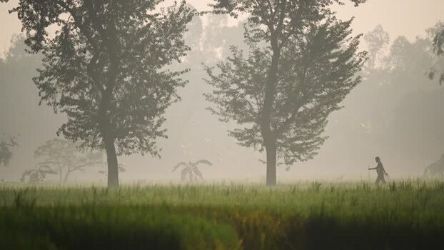 View of a person walking through a misty field in Bogura Bangladesh.