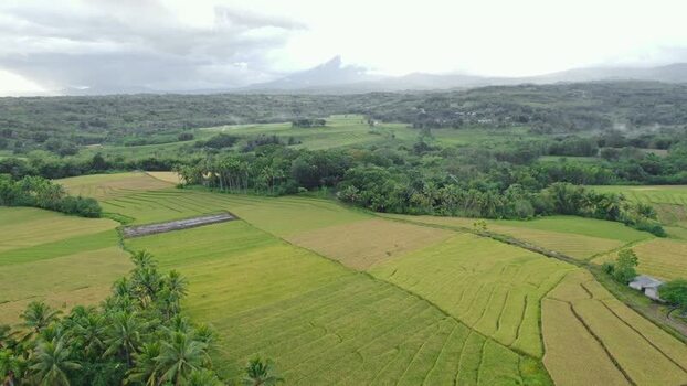 Aerial view of lush rice fields and tropical forests Indonesia. Aerial view of lush rice fields and tropical forests Indonesia.