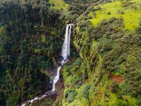 Aerial view of a cascading waterfall flowing down a lush green cliffside at Kaas plateau Satara Maharashtra India.