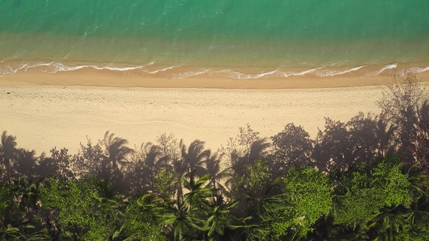 Aerial view of a pristine sandy beach with turquoise water and palm trees casting long shadows on the sand in Thailand Thailand. Aerial view of a pristine sandy beach with turquoise water and palm trees casting long shadows on the sand in Thailand Thailand.
