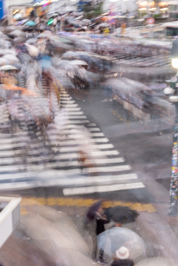 Tokyo Japan 01 October 2025 View of the iconic Shibuya crossing awash with motion umbrellas blurring into vibrant streaks against the stark white pedestrian lines. Tokyo Japan 01 October 2025 View of the iconic Shibuya crossing awash with motion umbrellas blurring into vibrant streaks against the stark white pedestrian lines.