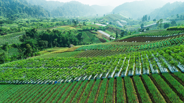 Aerial view of lush green terraced vegetable plantations and agricultural fields nestled among rolling hills and misty mountains in the countryside Sukabumi West Java Indonesia. Aerial view of lush green terraced vegetable plantations and agricultural fields nestled among rolling hills and misty mountains in the countryside Sukabumi West Java Indonesia.