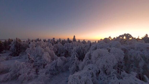 FPV aerial view of snow covered forest at sunrise Germany.