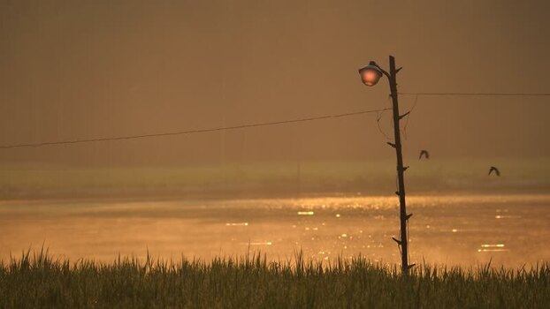 View of a street lamp in a misty field at sunset Bangladesh.