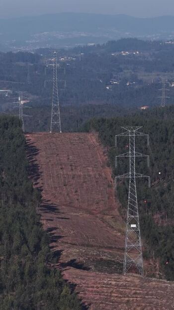 Aerial view of pylons and electricity lines through a eucalyptus plantation Portugal.