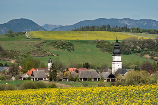 View of the village with its church tower traditional houses and yellow rapeseed fields set against rolling green hills in Partizanska Lupca Zilina Region Slovakia. View of the village with its church tower traditional houses and yellow rapeseed fields set against rolling green hills in Partizanska Lupca Zilina Region Slovakia.