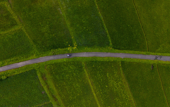 Aerial view of a narrow road winding through lush green agricultural fields with a person on a scooter SOUTH GOA Goa India.