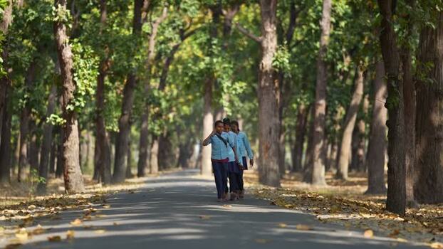 View of school children walking on a tree lined road Nepal.