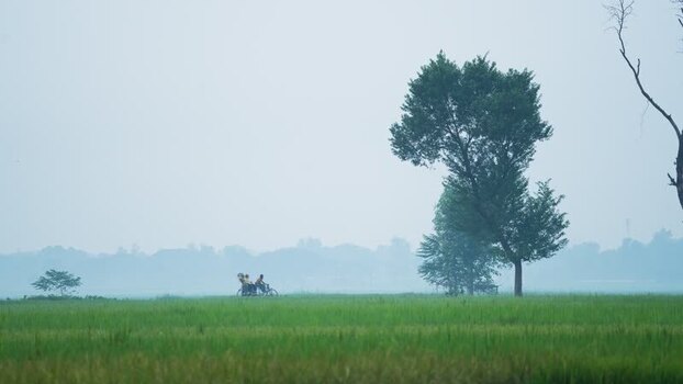 View of a rickshaw moving through green fields in Bogura Bangladesh. View of a rickshaw moving through green fields in Bogura Bangladesh.