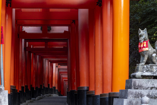 View of the Senbon Torii gates with a stone fox statue and lush greenery at Fushimi Inari taisha shrine Kyoto Kyoto Japan.