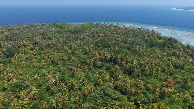 Aerial view of lush tropical island vegetation in Maldives. Aerial view of lush tropical island vegetation in Maldives.