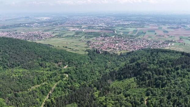 Aerial view of Selestat town and lush forests France.