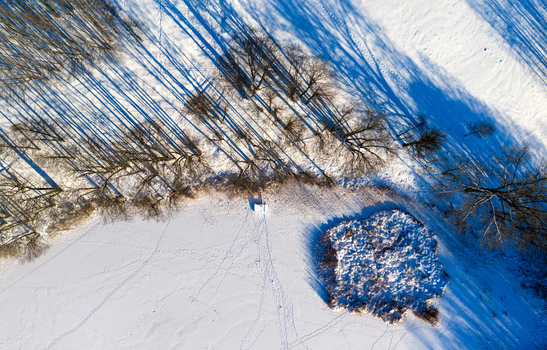 Aerial view of bare trees casting long blue shadows on a snow covered field and frozen winter landscape in Lithuania. Aerial view of bare trees casting long blue shadows on a snow covered field and frozen winter landscape in Lithuania.