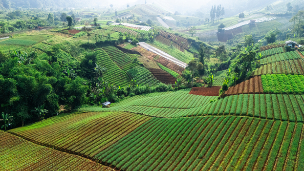 Aerial view of lush green terraced agricultural fields and vegetable plantations on rolling hills under a soft morning light in Sukabumi West Java Indonesia. Aerial view of lush green terraced agricultural fields and vegetable plantations on rolling hills under a soft morning light in Sukabumi West Java Indonesia.
