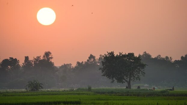 View of a large sun setting over rural fields Bangladesh.