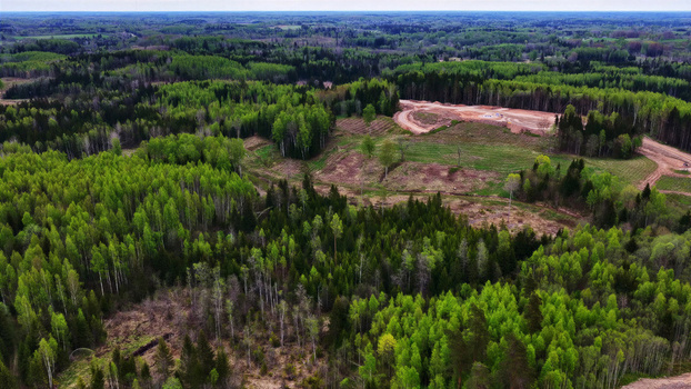 Aerial view of a wind turbine maintenance road winding through a dense forest with patches of cleared land in Latvia. Aerial view of a wind turbine maintenance road winding through a dense forest with patches of cleared land in Latvia.