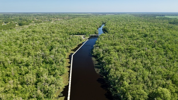 Aerial view of Sixmile Creek winding through a dense green forest with a long wooden boardwalk and a distant bridge in St. Johns County Florida United States.