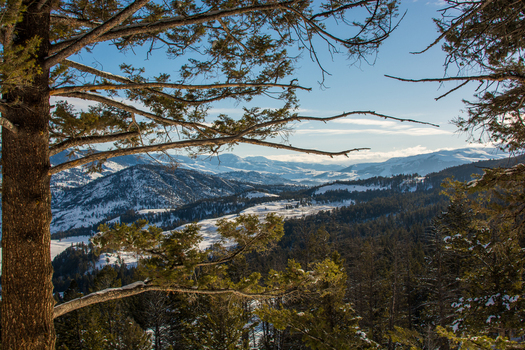 View of Yellowstone National Park with snow covered mountains pine trees and clear blue sky in the United States.