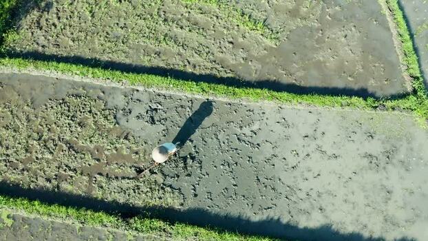 Aerial view of a farmer walking through rice paddies in Bali Indonesia. Aerial view of a farmer walking through rice paddies in Bali Indonesia.