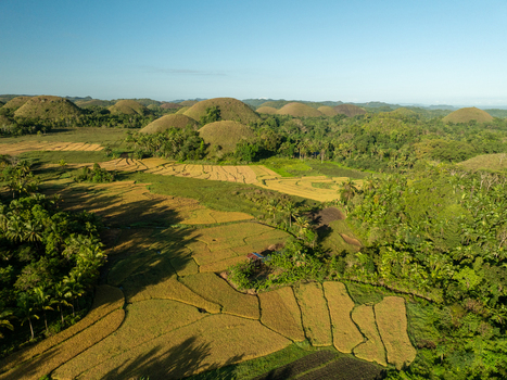 Aerial view of the iconic Chocolate Hills landscape featuring green conical mounds golden rice paddies and dense tropical vegetation in Batuan Central Visayas Philippines. Aerial view of the iconic Chocolate Hills landscape featuring green conical mounds golden rice paddies and dense tropical vegetation in Batuan Central Visayas Philippines.