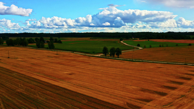 Aerial view of harvested fields and green meadows with a winding dirt road and scattered trees under a blue sky with fluffy clouds in Latvia. Aerial view of harvested fields and green meadows with a winding dirt road and scattered trees under a blue sky with fluffy clouds in Latvia.