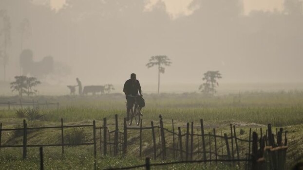 View of a man riding a bicycle through misty rural fields Bangladesh. View of a man riding a bicycle through misty rural fields Bangladesh.