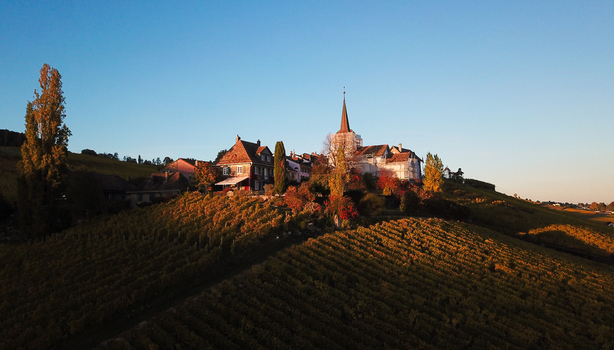 Aerial view of Fechy Dessus village and its church spire surrounded by golden vineyards on a hillside under a clear sky Fechy Vaud Switzerland.
