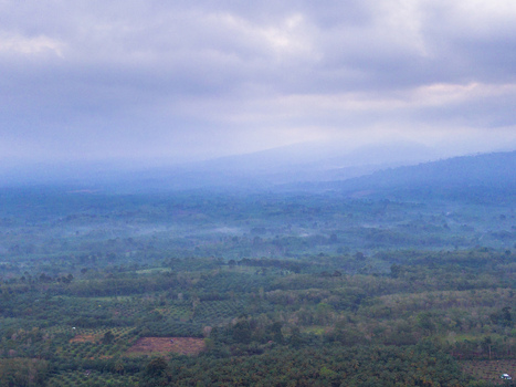 Aerial view of the lush Taba Tembilang landscape featuring rolling hills dense tropical forest and misty valleys under a cloudy sky in Arga Makmur Bengkulu Indonesia.
